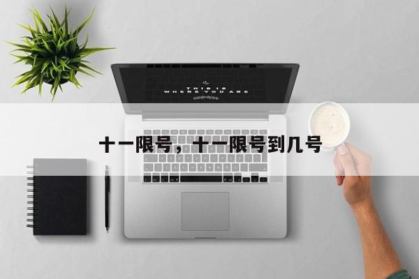 十一限号，十一限号到几号